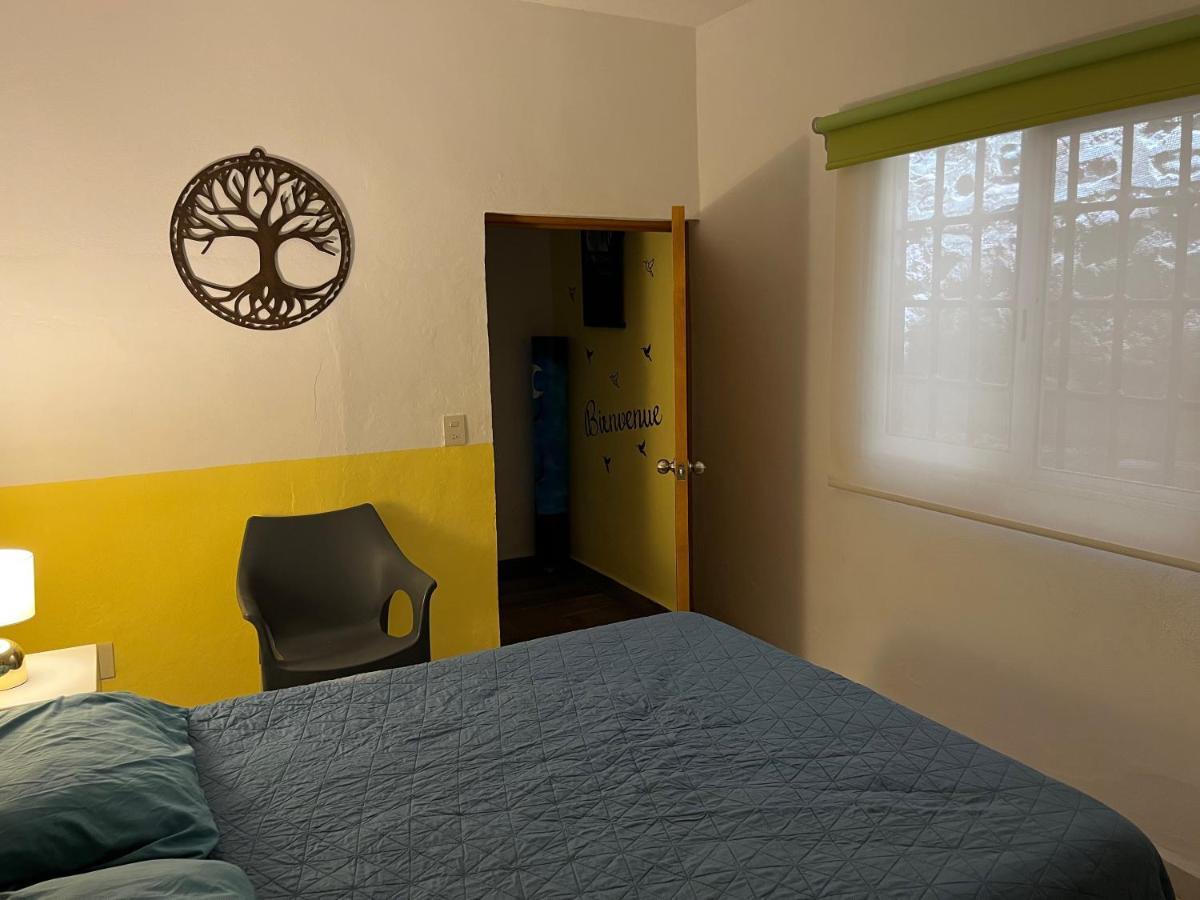 Villa Palmier -Quiet Cosy Air Conditioned Terrace بويرتو فالارتا المظهر الخارجي الصورة