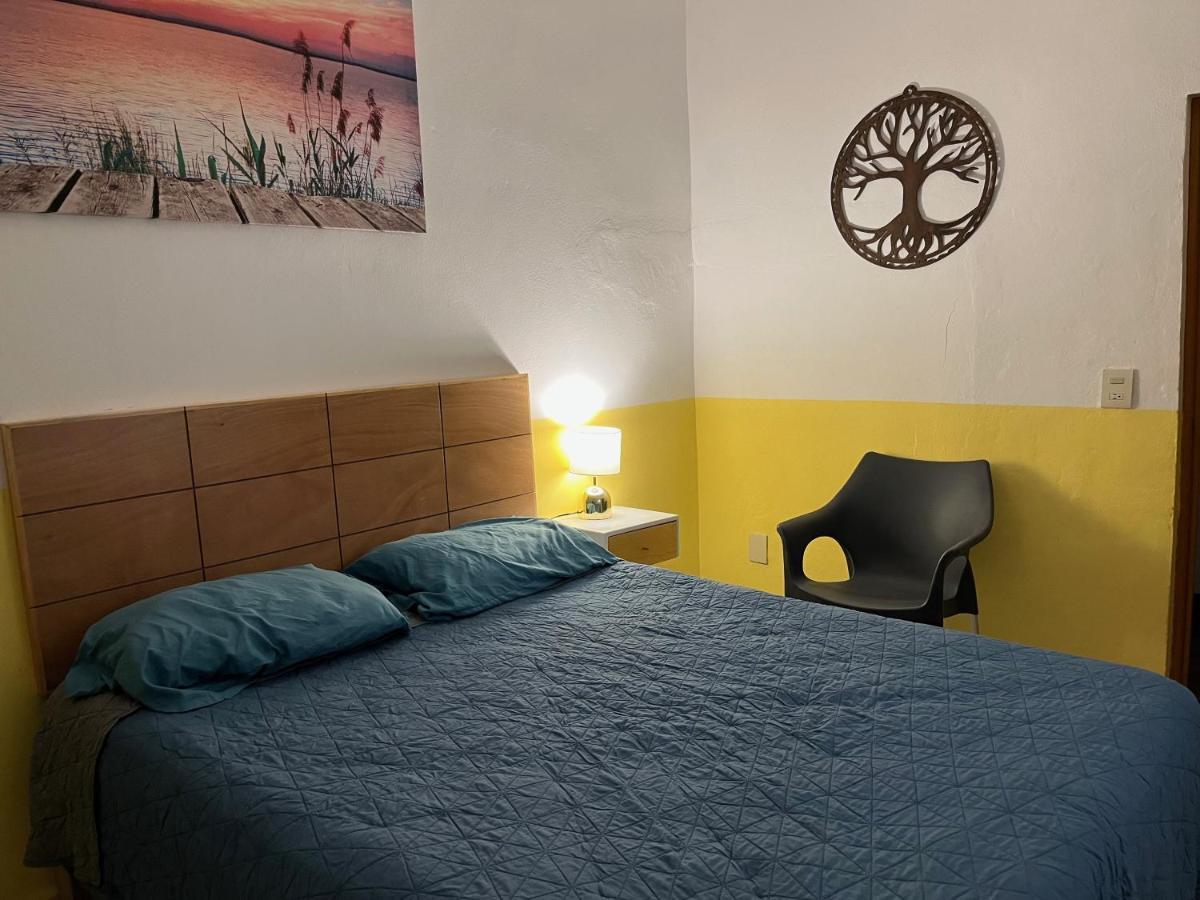 Villa Palmier -Quiet Cosy Air Conditioned Terrace بويرتو فالارتا المظهر الخارجي الصورة