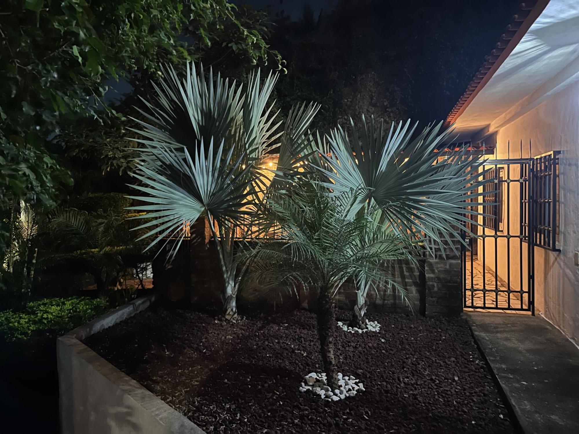 Villa Palmier -Quiet Cosy Air Conditioned Terrace بويرتو فالارتا المظهر الخارجي الصورة