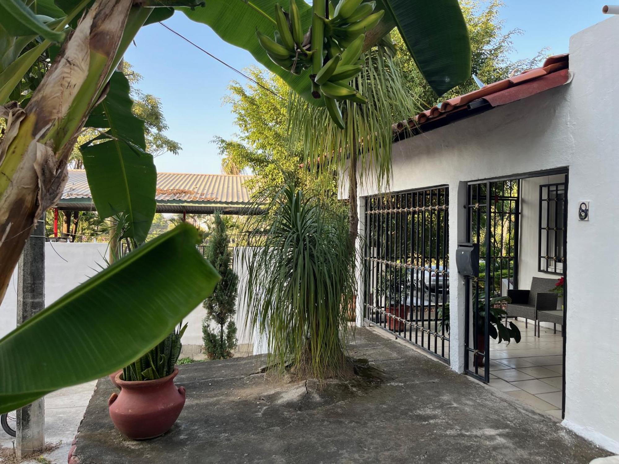 Villa Palmier -Quiet Cosy Air Conditioned Terrace بويرتو فالارتا المظهر الخارجي الصورة